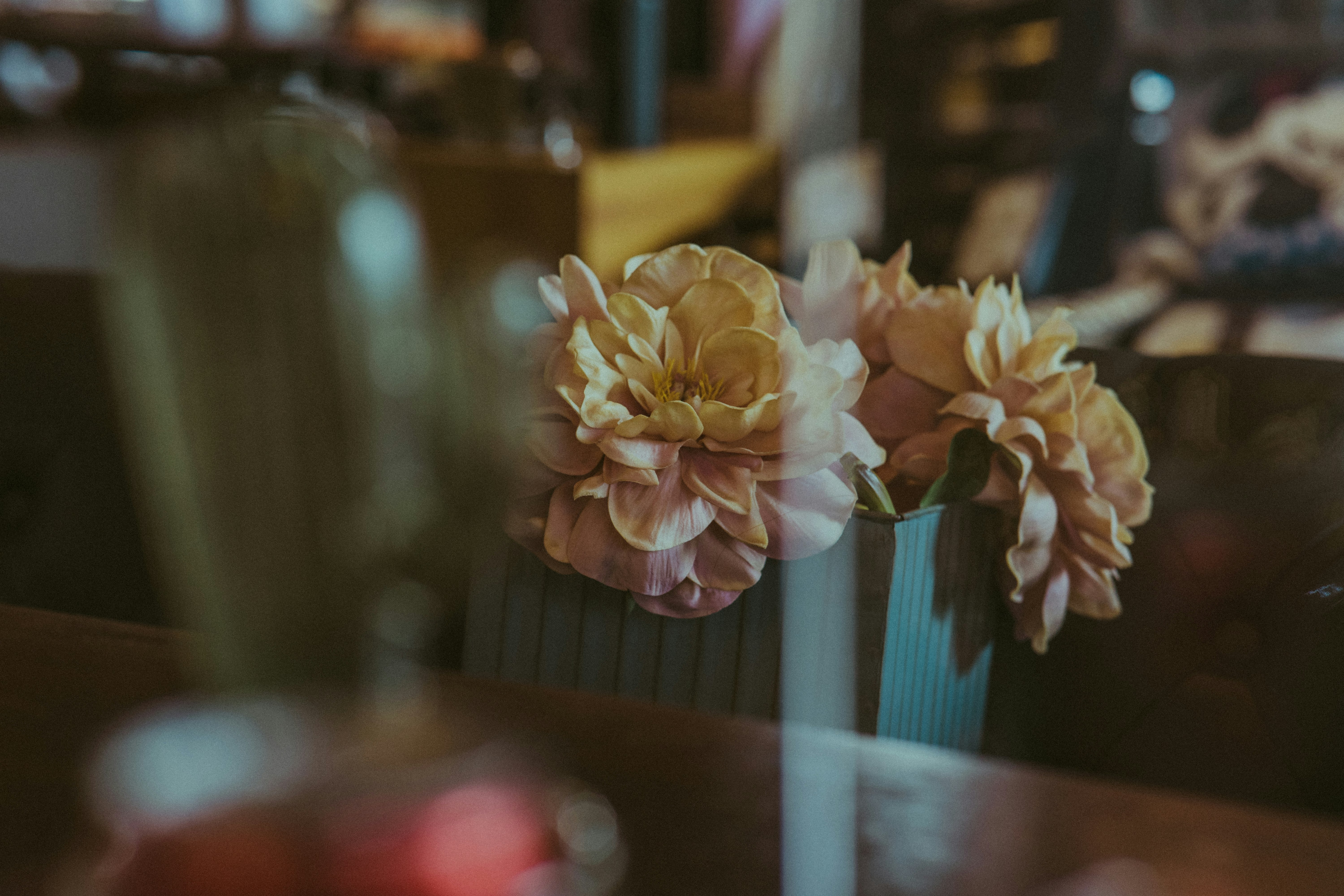 white flower in clear glass vase